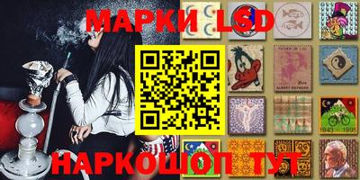 дживик Бийск