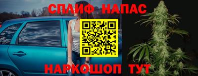 дживик Бийск