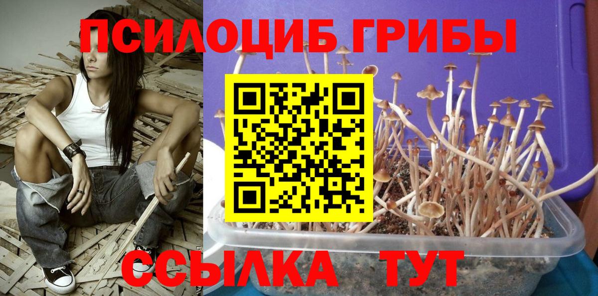 Псилоцибиновые грибы Magic Shrooms  Галлюциногенные грибы прущие грибы  Кисловодск  Вход с VPN 