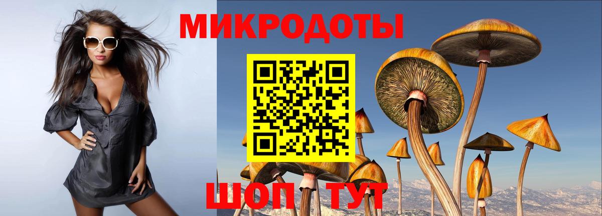 Псилоцибиновые грибы ЛСД Кисловодск